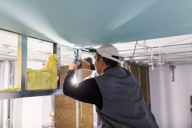 Best Eco-Friendly Insulation in Stevenson, AL